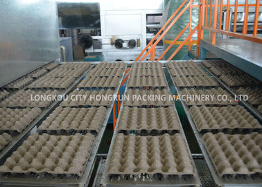 Recycling Rotary Pulp Molding Machine , Paper Egg Tray Making Machine