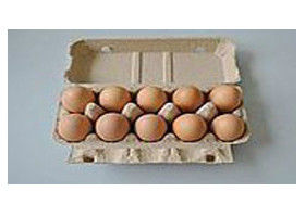 Rotary Paper Egg Tray Machine 600 - 1220 mm For Food Container 200mm Height