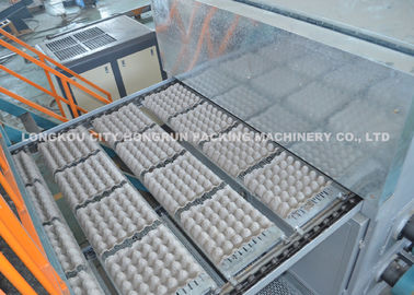 220V / 380V Egg Carton Production Line Fast Speed BV TUV ISO9001 CE