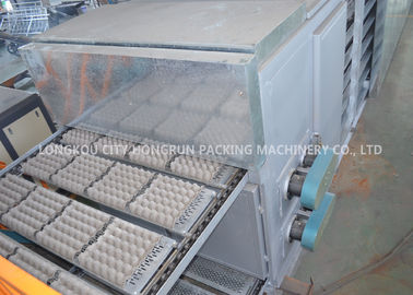 Dryer Length 20m Wine Pulp Tray Machine With One Year Warranty