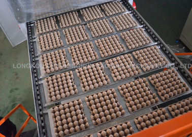 Recycled Paper Egg Tray Machine , 2000pcs/h Automatic Egg Tray Making Machine